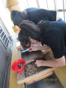 Discovery Worldに投稿された画像（2025/8/27）