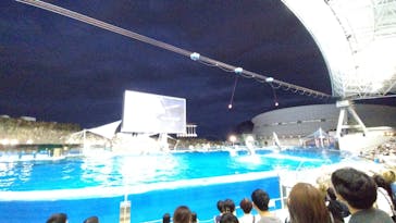 名古屋港水族館に投稿された画像（2025/8/27）