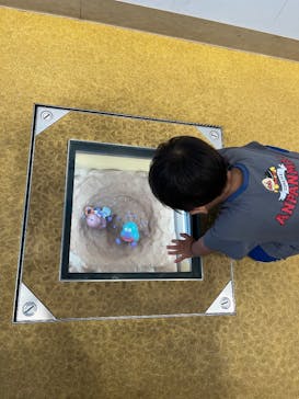 横浜アンパンマンこどもミュージアムに投稿された画像（2025/8/27）