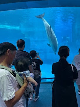 名古屋港水族館に投稿された画像（2025/8/27）