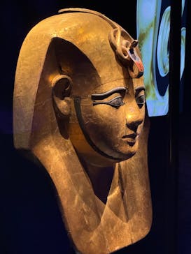 ACN ラムセス大王展 ファラオたちの黄金に投稿された画像（2025/8/27）