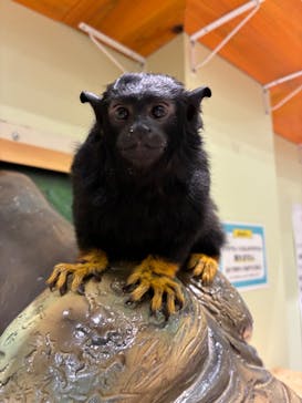 アニタッチPARKイオンモール太田に投稿された画像（2025/8/27）