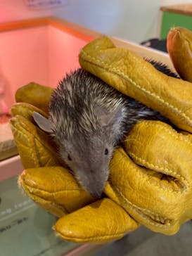 アニタッチPARKイオンモール太田に投稿された画像（2025/8/27）