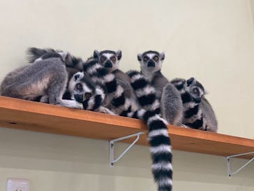 アニタッチPARKイオンモール太田に投稿された画像（2025/8/27）