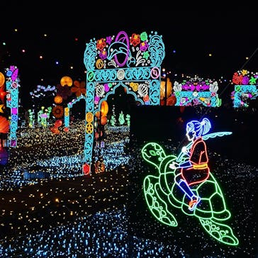 伊豆高原グランイルミに投稿された画像（2025/8/27）