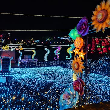 伊豆高原グランイルミに投稿された画像（2025/8/27）