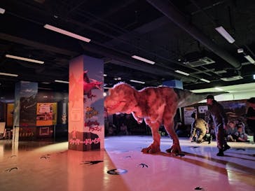 最強王図鑑フェスティバル in 東京タワーに投稿された画像（2025/8/27）