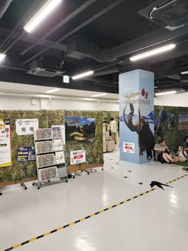 最強王図鑑フェスティバル in 東京タワーに投稿された画像（2025/8/27）