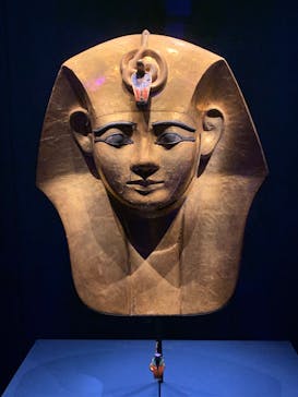 ACN ラムセス大王展 ファラオたちの黄金に投稿された画像（2025/8/27）