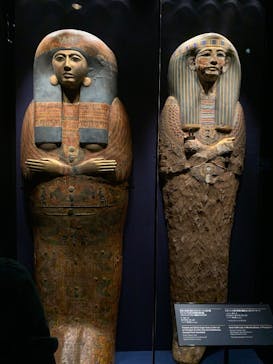 ACN ラムセス大王展 ファラオたちの黄金に投稿された画像（2025/8/27）