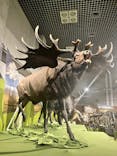 特別展「氷河期展 〜人類が見た4万年前の世界〜」（国立科学博物館）に投稿された画像（2025/8/27）