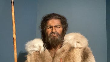 特別展「氷河期展 〜人類が見た4万年前の世界〜」（国立科学博物館）に投稿された画像（2025/8/27）