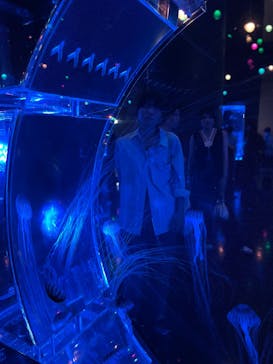 マクセル アクアパーク品川に投稿された画像（2025/8/27）