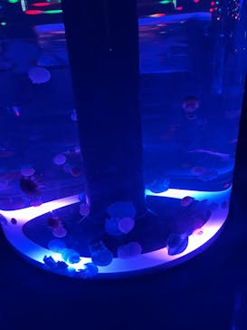 マクセル アクアパーク品川に投稿された画像（2025/8/27）