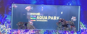 マクセル アクアパーク品川に投稿された画像（2025/8/27）