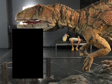 福井県立恐竜博物館に投稿された画像（2025/8/27）