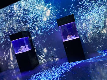 マクセル アクアパーク品川に投稿された画像（2025/8/27）