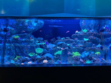 マクセル アクアパーク品川に投稿された画像（2025/8/27）