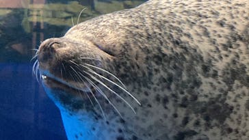 マクセル アクアパーク品川に投稿された画像（2025/8/27）