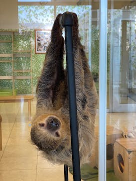 Moff animal world BIGHOPガーデンモール印西店に投稿された画像（2025/8/27）