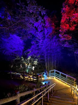 ニジゲンノモリに投稿された画像（2025/8/27）