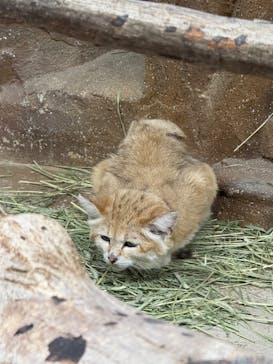 那須どうぶつ王国に投稿された画像（2025/8/27）