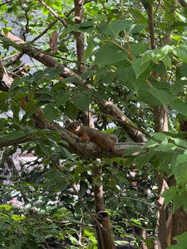 那須どうぶつ王国に投稿された画像（2025/8/27）