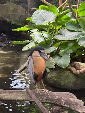 那須どうぶつ王国に投稿された画像（2025/8/27）