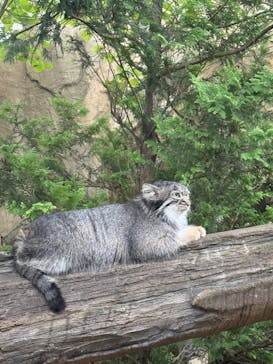 那須どうぶつ王国に投稿された画像（2025/8/27）