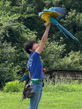 那須どうぶつ王国に投稿された画像（2025/8/27）