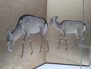 東京国立博物館に投稿された画像（2025/8/27）