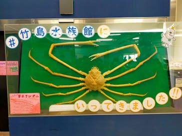 竹島水族館に投稿された画像（2025/8/27）