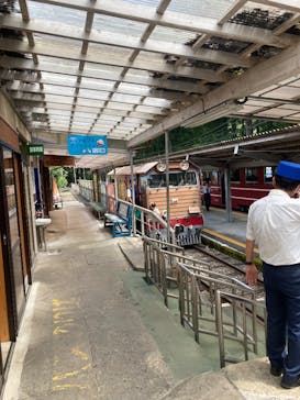 大井川鐵道株式会社に投稿された画像（2025/8/27）