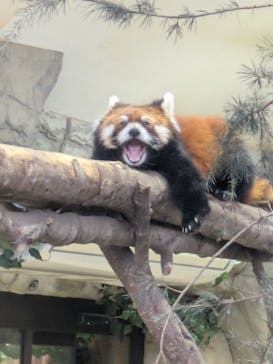 那須どうぶつ王国に投稿された画像（2025/8/27）