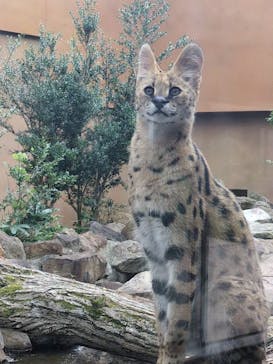 那須どうぶつ王国に投稿された画像（2025/8/27）