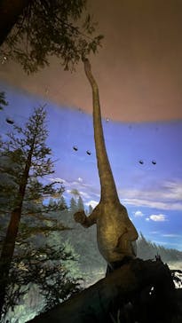 福井県立恐竜博物館に投稿された画像（2025/8/27）