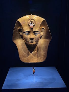 ACN ラムセス大王展 ファラオたちの黄金に投稿された画像（2025/8/28）