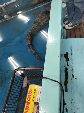 竹島水族館に投稿された画像（2025/8/28）