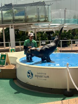 サンシャイン水族館に投稿された画像（2025/8/28）