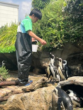 サンシャイン水族館に投稿された画像（2025/8/28）