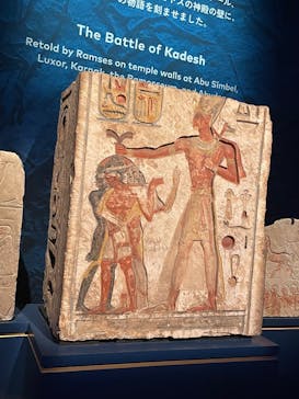 ACN ラムセス大王展 ファラオたちの黄金に投稿された画像（2025/8/28）