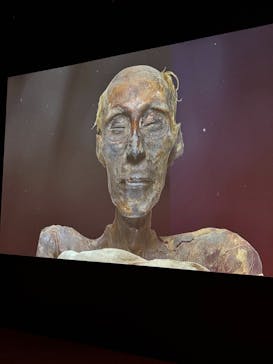 ACN ラムセス大王展 ファラオたちの黄金に投稿された画像（2025/8/28）