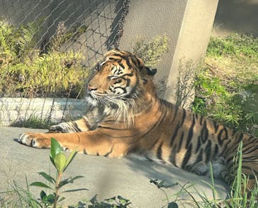 名古屋市東山動植物園に投稿された画像（2025/8/28）