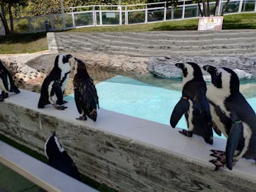 マリンワールド海の中道に投稿された画像（2025/8/28）