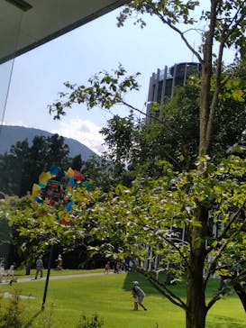 彫刻の森美術館に投稿された画像（2025/8/28）