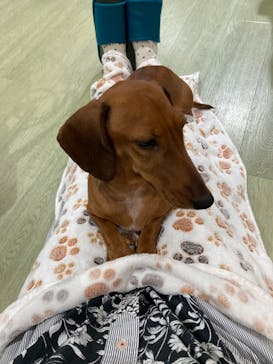 いぬカフェRio 新宿店に投稿された画像（2025/8/28）