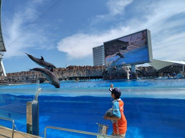 名古屋港水族館に投稿された画像（2025/8/28）