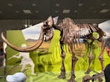 特別展「氷河期展 〜人類が見た4万年前の世界〜」（国立科学博物館）に投稿された画像（2025/8/28）