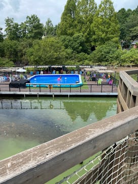 ムーミンバレーパークに投稿された画像（2025/8/28）