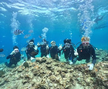 武藤潜水に投稿された画像（2025/8/28）